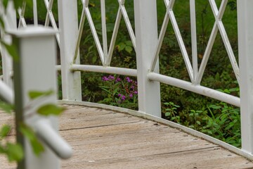 Wall Mural - fence in the garden