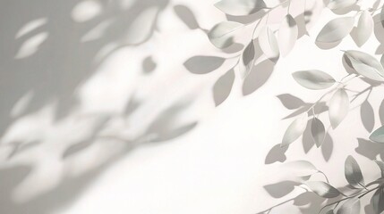 Wall Mural - Create a crisp white background with subtle shadows to add depth and elegance