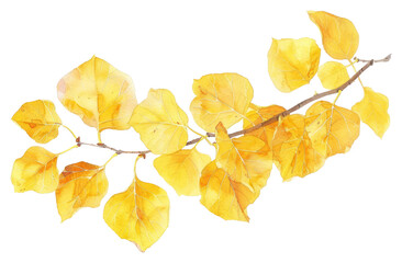 Wall Mural - PNG Golden autumn leaves branch illustration