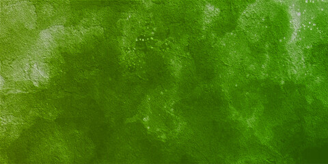 Wall Mural - green moss on the stone green winter grunge watercolor background texture wallpaper texture old stone wall light effect background dark black effect graphics cover page template old wall unique patter