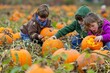© Екатерина Шпаченко - Children in costumes picking orange pumpkins in a pumpkin patch during an October festival
