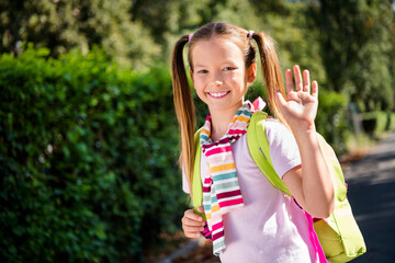 Poster - Photo of positive friendly small girl wear tied pullover backpack waving arm hi outside urban city park