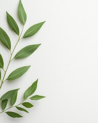 Poster - Delicate organic botanical elements on a pure white background, minimalist and fresh, with ample room for text to make a statement.