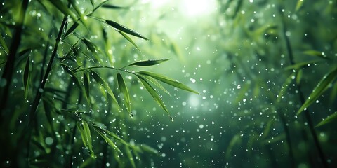 Poster - Rain Falling on Lush Green Bamboo Leaves