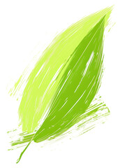 Poster - Abstract green leaf illustration