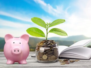 Poster - Saving money concept, coins in piggy bank on nature background