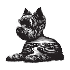 silhouette of Yorkshire Terrier, filled with river view in rough drawing,