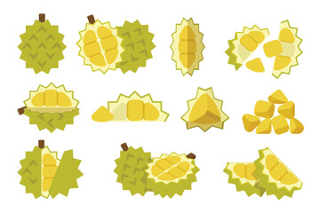 Wall Mural - Set of Durian, Farm fresh Durian product emblem for grocery shop, Slides, long and cross sections, and different positions, simple flat vector illustration of vegetables and fruits.