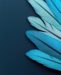 Poster - Close-up of beautiful blue feathers