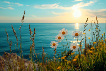 Wall Mural - close-up of daisies with a bright blue sea in the background under a clear sky. perfect for summer t