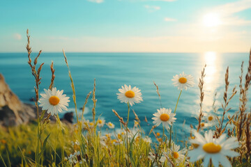 Wall Mural - close-up of daisies with a bright blue sea in the background under a clear sky. perfect for summer t