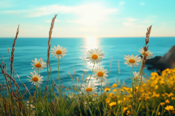 Wall Mural - close-up of daisies with a bright blue sea in the background under a clear sky. perfect for summer t