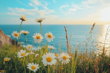 Wall Mural - close-up of daisies with a bright blue sea in the background under a clear sky. perfect for summer t