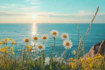 Wall Mural - close-up of daisies with a bright blue sea in the background under a clear sky. perfect for summer t