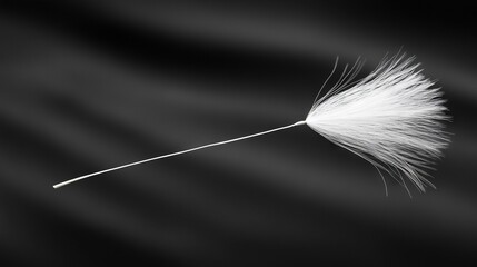 Poster -   A monochromatic picture of a solitary white feather perched atop a slender, elongated stalk