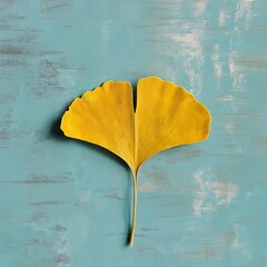 Wall Mural - Single yellow ginkgo leaf on blue textured background. Minimalist autumn concept.