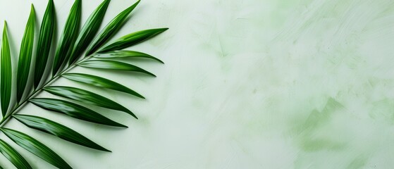  A palm leaf's detailed texture against a lush green background, featuring a distinct white mark in its center