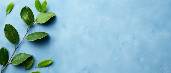  A green-leafed tree branch against a blue backdrop