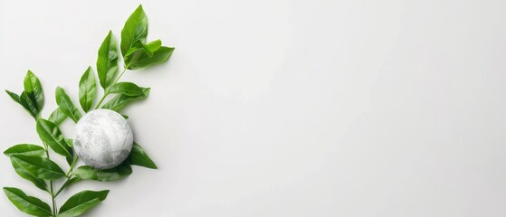  A leaf on a white surface, a green plant in the middle, and a white rock nearby