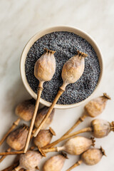 Poster - Dry poppy head and poppy seed in bowl on kitchen table. Top view.