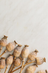 Canvas Print - Dry poppy head  on kitchen table. Top view.