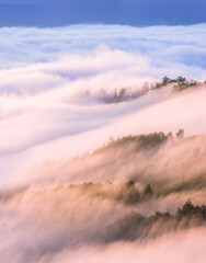 Wall Mural - summer foggy scenery, scenic sunrise morning view