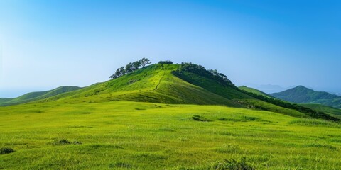 Poster - Scenic green grass hill with tree covered peak under a clear blue sky