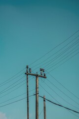 Poster - Group of birds resting on electricity transmission lines, suitable for illustrations about nature, wildlife, or environmental themes