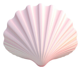 Wall Mural - PNG Shell clam invertebrate simplicity.