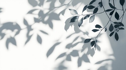 Canvas Print - Light and shadow of leaves on a white wall.