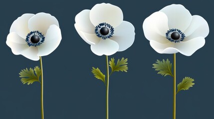 Canvas Print - On dark blue backgrounds, three posters depict white flowers