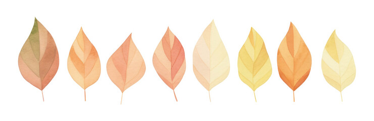 Poster - PNG Autumn leaves divider watercolour illustration plant petal leaf.