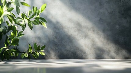 Poster - Background Wall Floor Shadow Kitchen Concrete Table White Texture Light Texture Abstract Mockup Product Marble Room Studio Display Plant Cement 3d Bg Minimal Shelft Bar Silhouette Leav : Generative AI