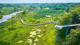 Aerial View of Serpentine Boardwalk in Lush Wetland