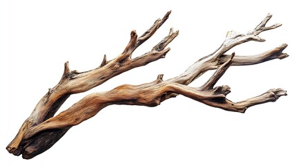 Aufkleber - Piece branches of driftwood for aquarium design and decor isolated on white background with clipping path : Generative AI