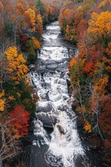 Wall Mural - A serene landscape featuring a river winding its way through a dense forest, surrounded by tall trees and lush vegetation