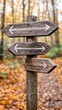 © Suritong - A weathered wooden signpost in a scenic autumn forest, directing travelers with its multiple arrows amidst colorful foliage.
