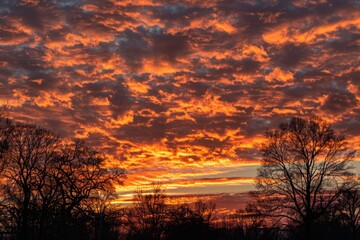 Poster - A serene sunset scene featuring clouds and trees in the foreground, perfect for use in travel or nature-themed projects