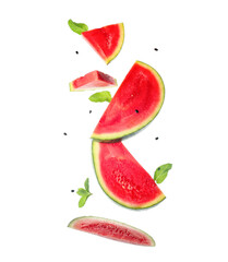 Wall Mural - Flying pieces of fresh watermelon with mint and seeds on white background