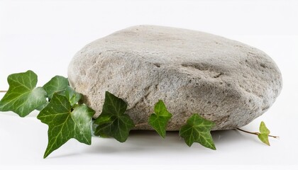 Wall Mural - a stone with ivy on a white background