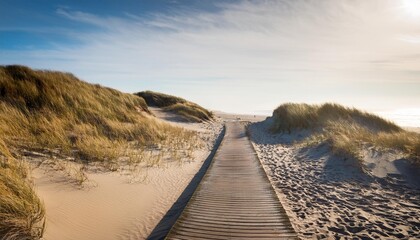 Wall Mural - boardwalk in the beach sand dunes