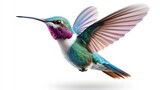 A colorful hummingbird with a purple, blue and green tail, AI