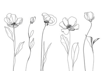 Wall Mural - Simple illustration of flowers on a clean white surface