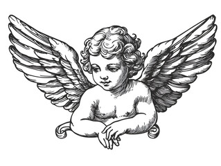 outline illustration of a cherub angel in renaissance style