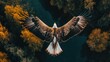 © Piyawat - above view of flying bird, Eagle, over forest background