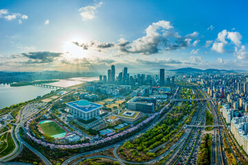 Wall Mural - Yeouido, Yeongdeungpo-gu, Seoul, South Korea - April 11, 2022: Aerial and morning view of Olympic Boulevard and Yeouido Saetgang River with National Assembly Building in spring