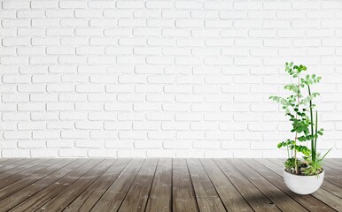 Wall Mural - Fresh green plant at wall background