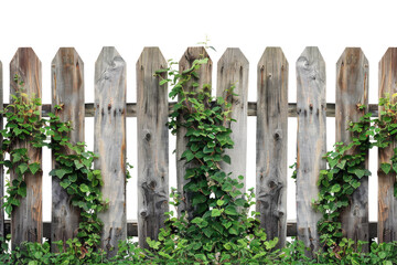 Wall Mural - Wooden picket fence with green plants on white background.