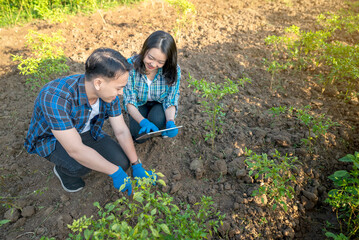 Poster - A man and a woman are kneeling down in a field, looking at chili plants