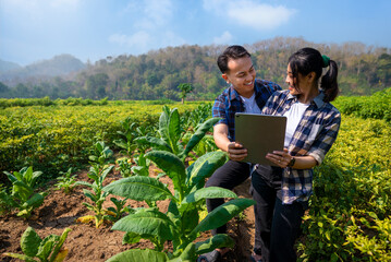 Poster - A man and a woman are looking at a tablet in a field